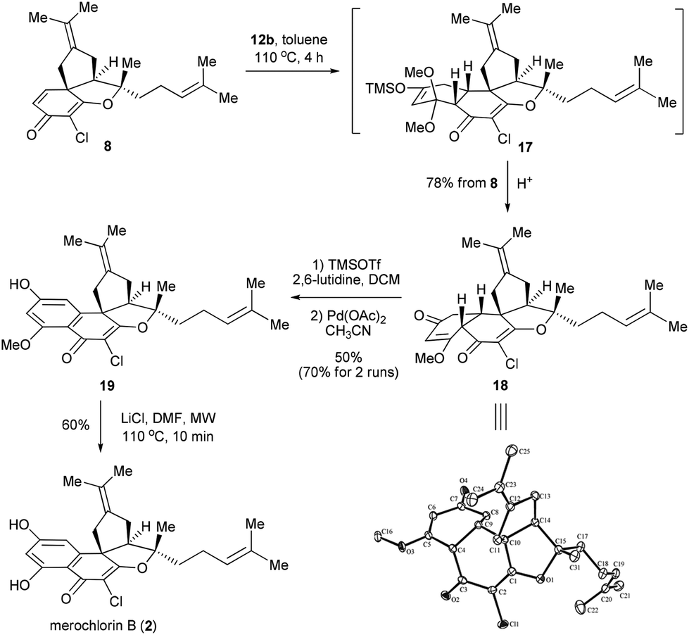 out of our expectation, the diels–alder reaction between  8