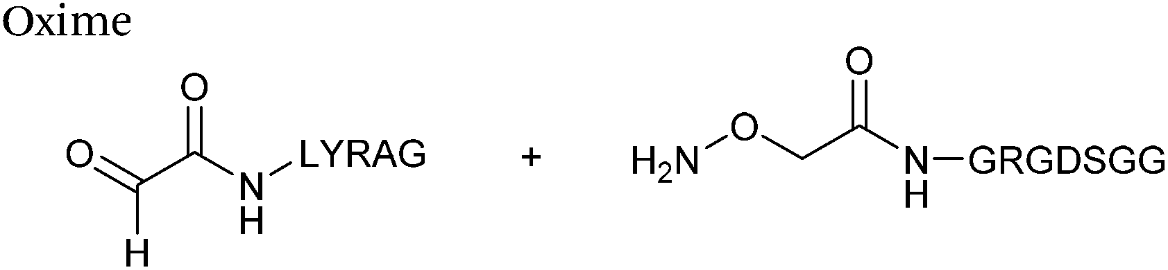 site-selective incorporation and ligation of protein aldehydes