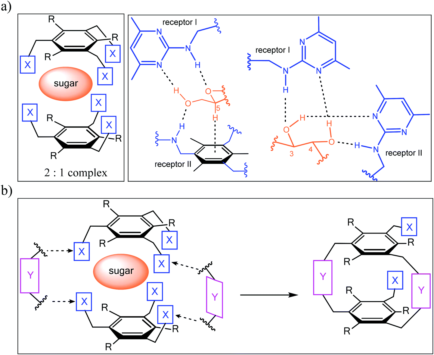 Carbohydrate receptors combining both a macrocyclic building block and flexible side arms as