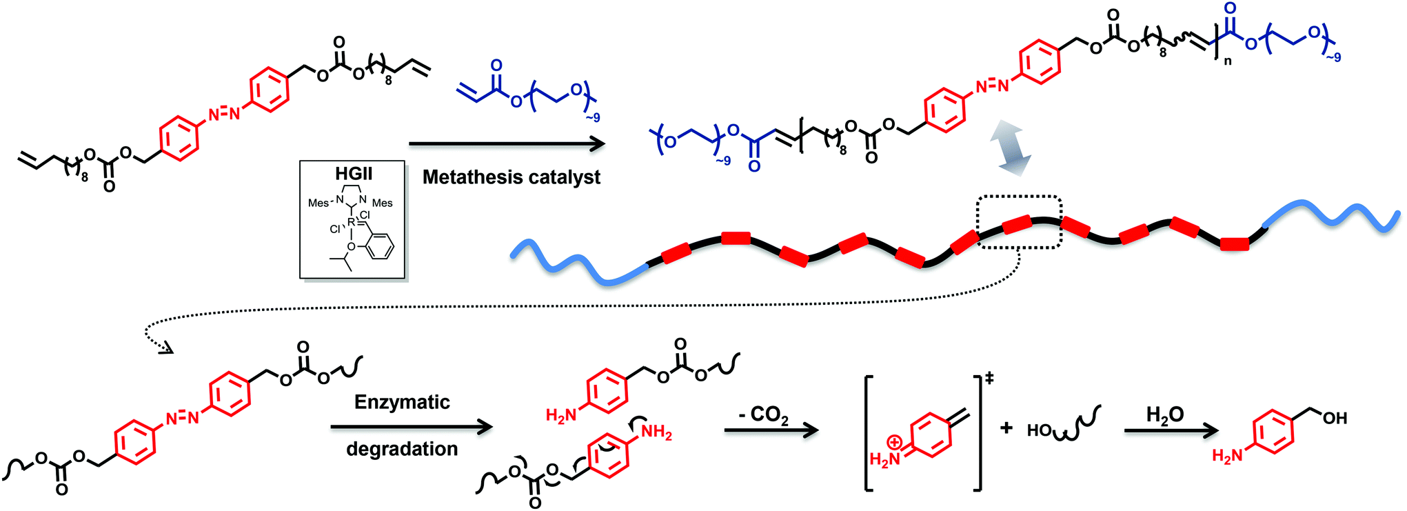 Olefin metathesis green chemistry