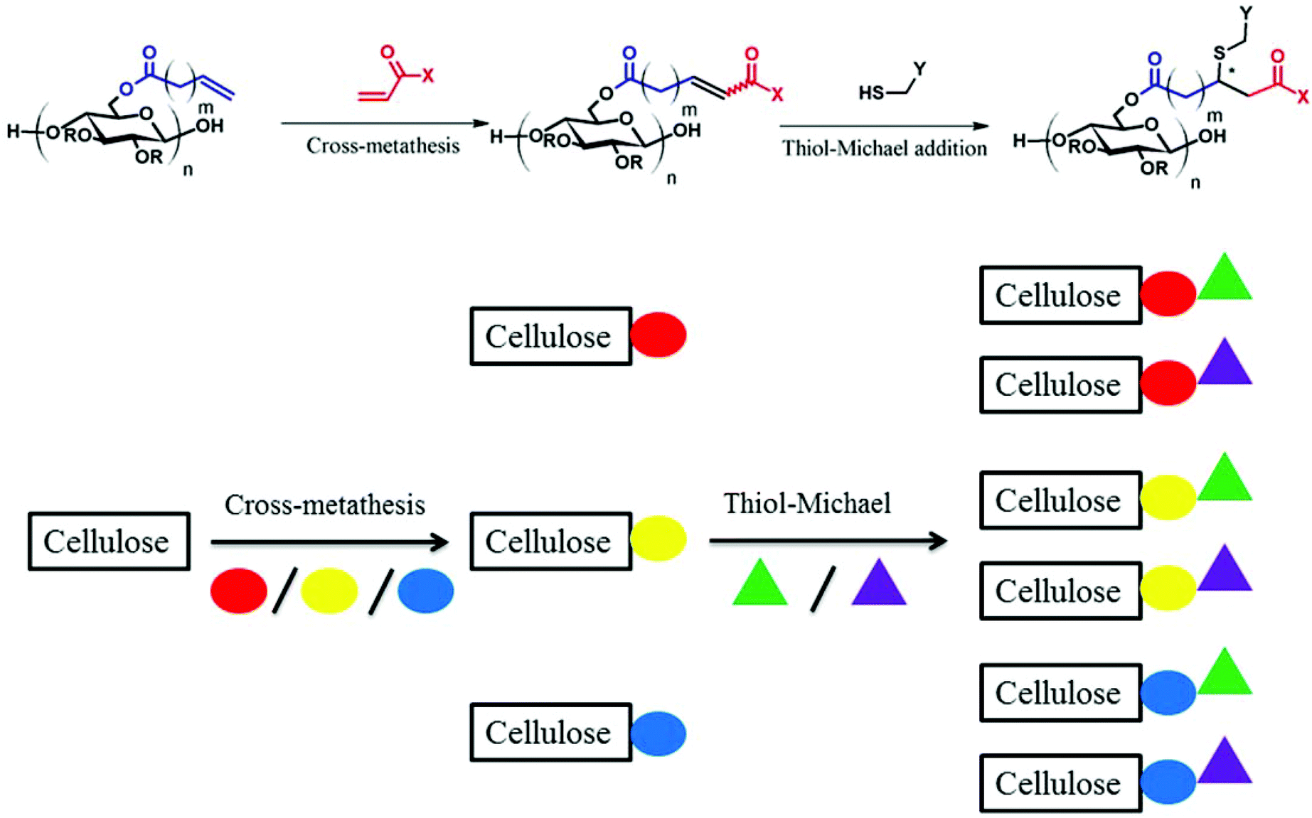 Cross metathesis acrylate