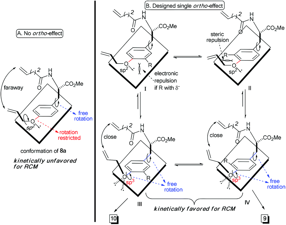 Metathesis and substitution image