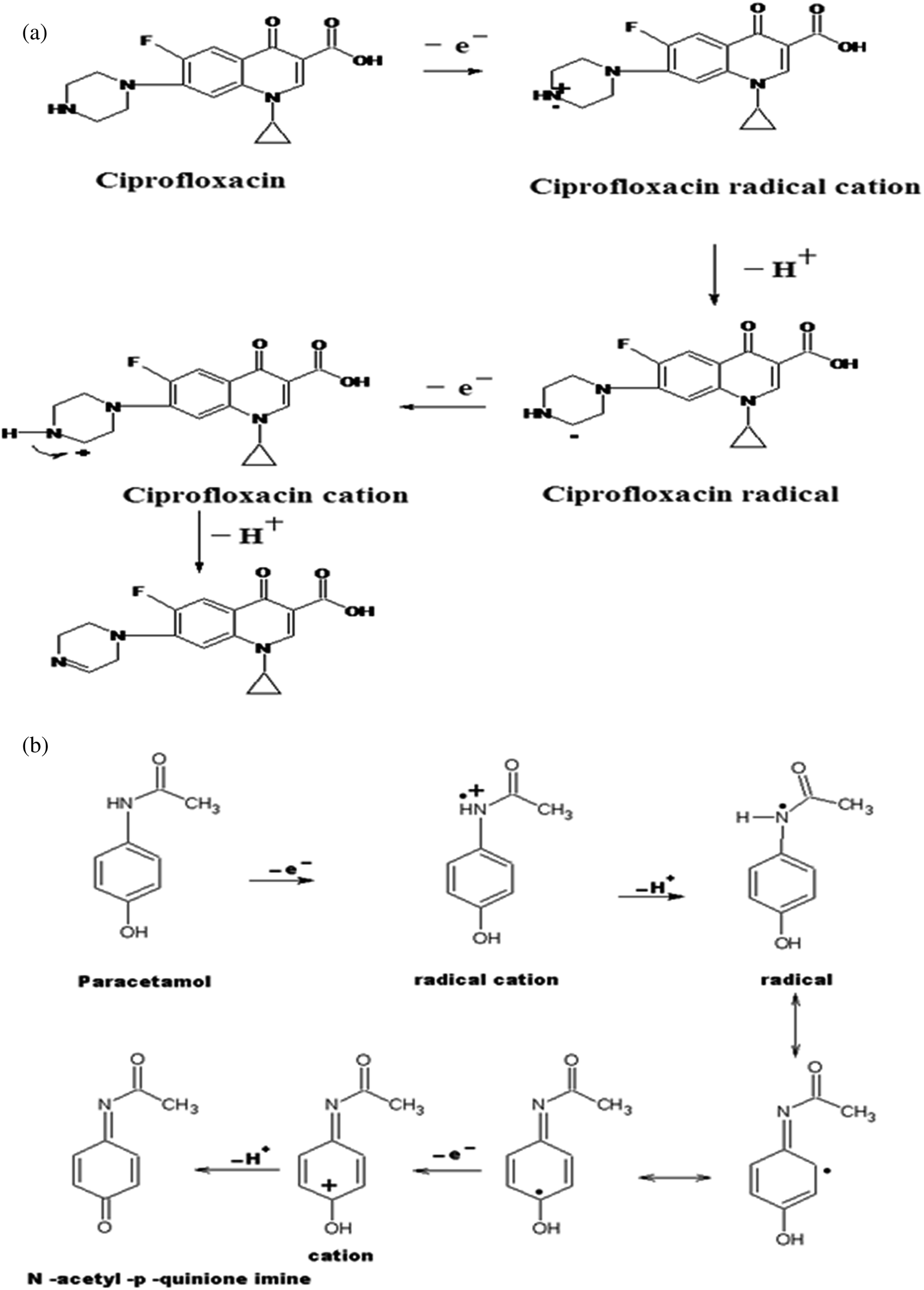 prinivil dose lisinopril (prinivil zestril) side effects