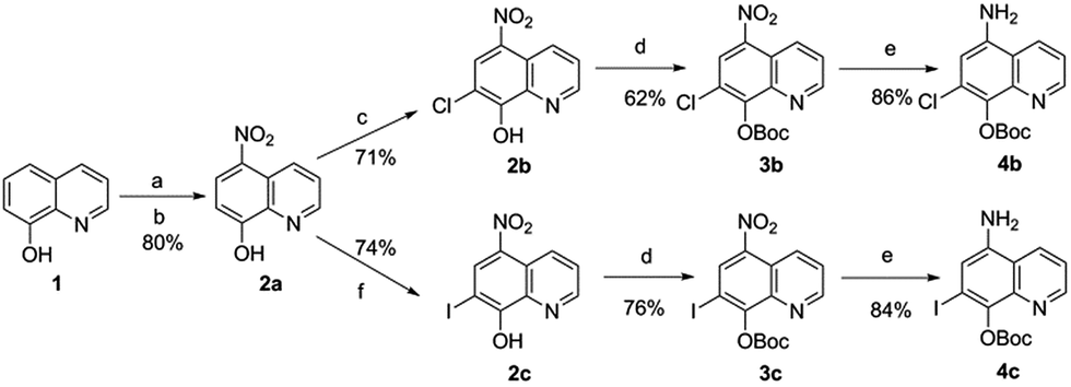 scheme 1 :hexane = 1:1, (boc) 2o, dipea, dmap, 50 レ 72 h; (e)