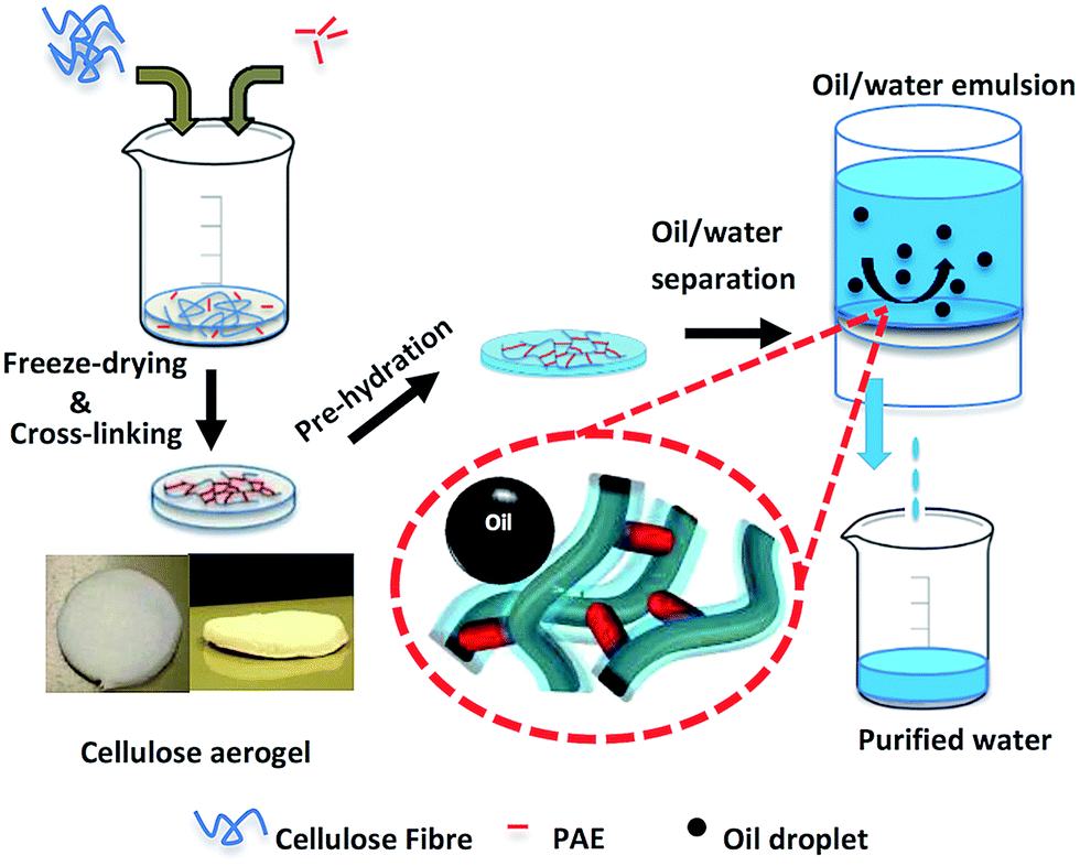 Cellulose nanofibre aerogel filter with tuneable pore structure for oil