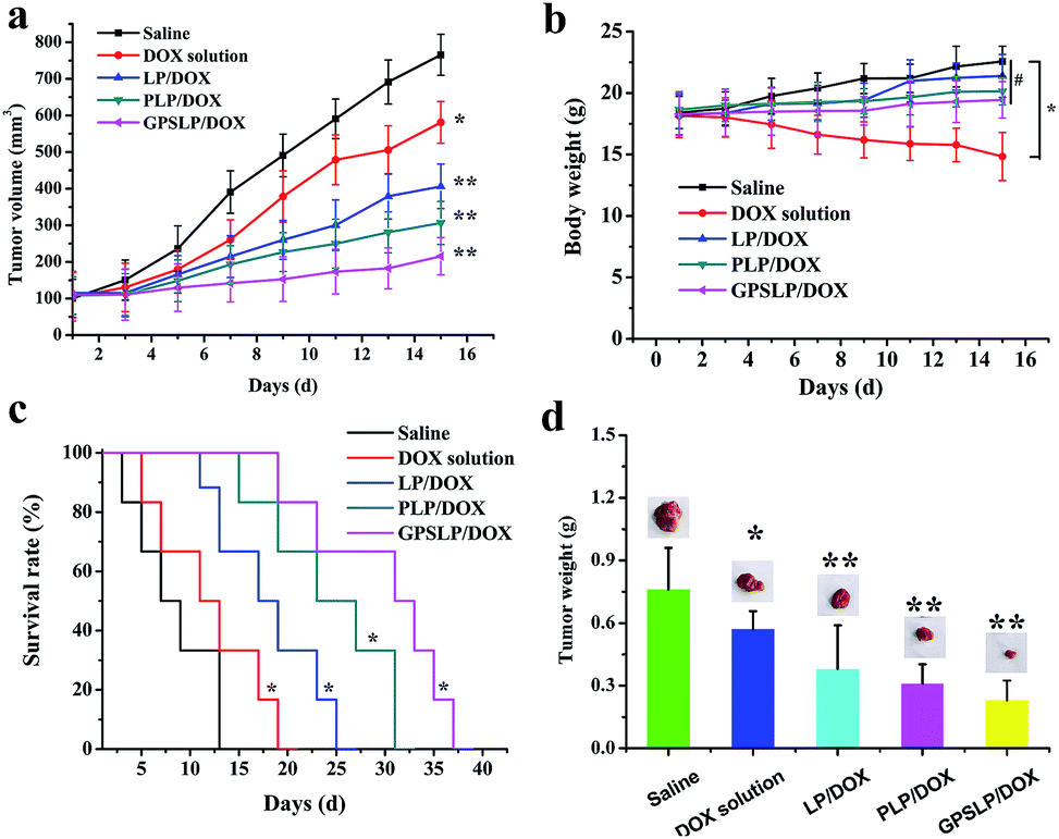 tumor volume (a), body weight (b), kaplancmeier survival curve