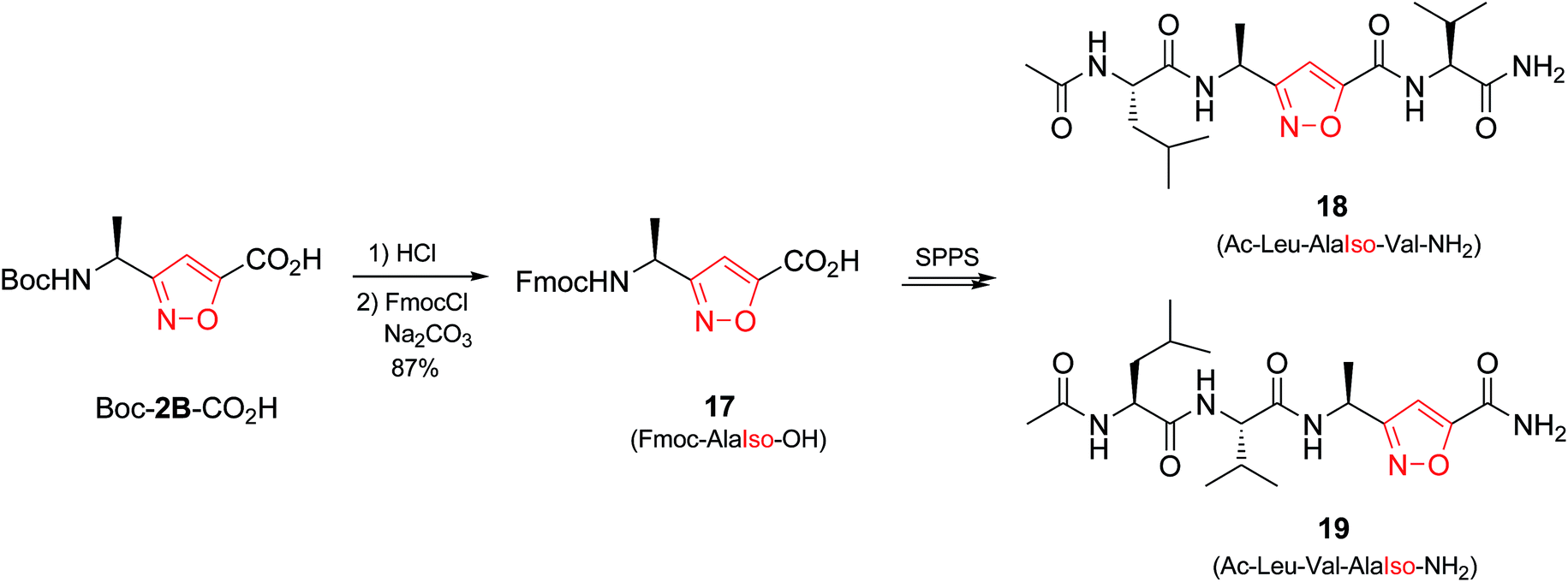 chains were grown on rink-amide resin, and tbtu/hobt/dipea