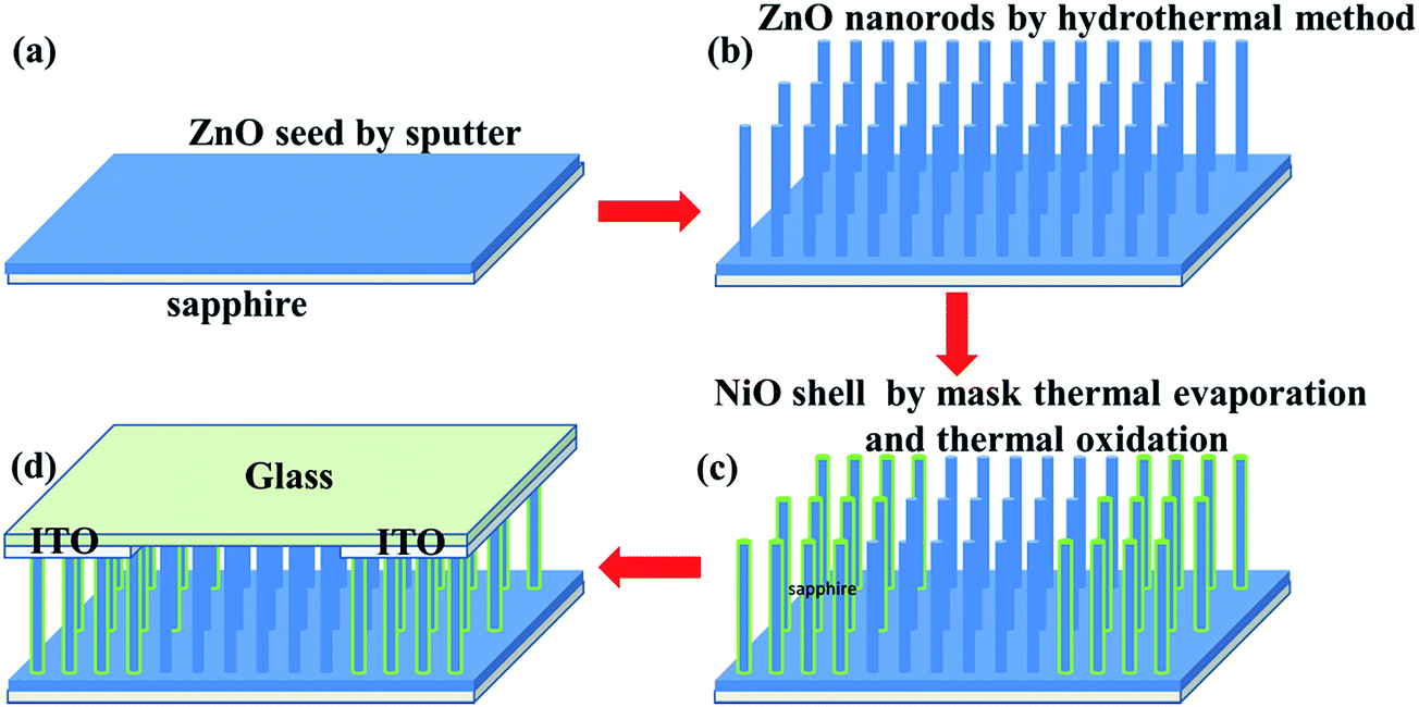 Enhancing performance of ZnO/NiO UV photodetector by piezophototronic