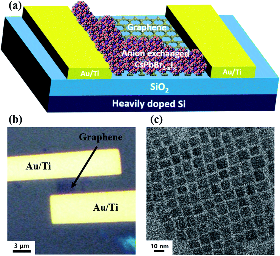 High performance hybrid grapheneCsPbBr 3−x I x perovskite nanocrystal photodetector RSC