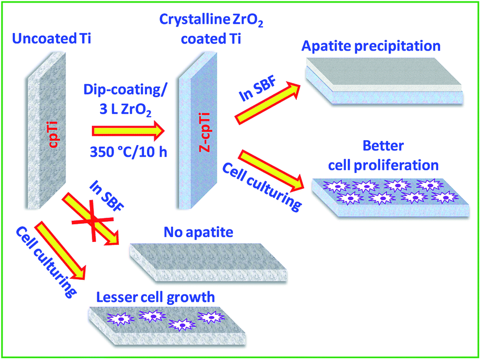 Fabrication of a cubic zirconia nanocoating on a titanium dental