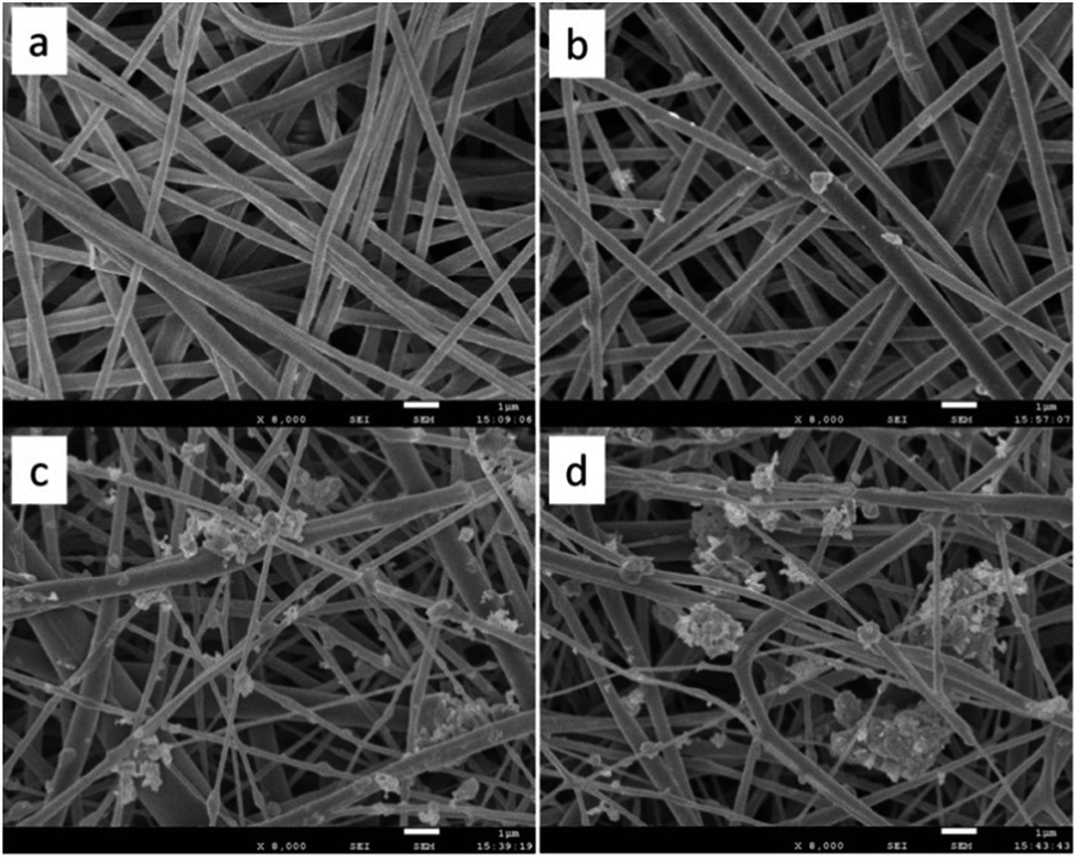 an electrospun polycarbonate nanofibrous membrane for
