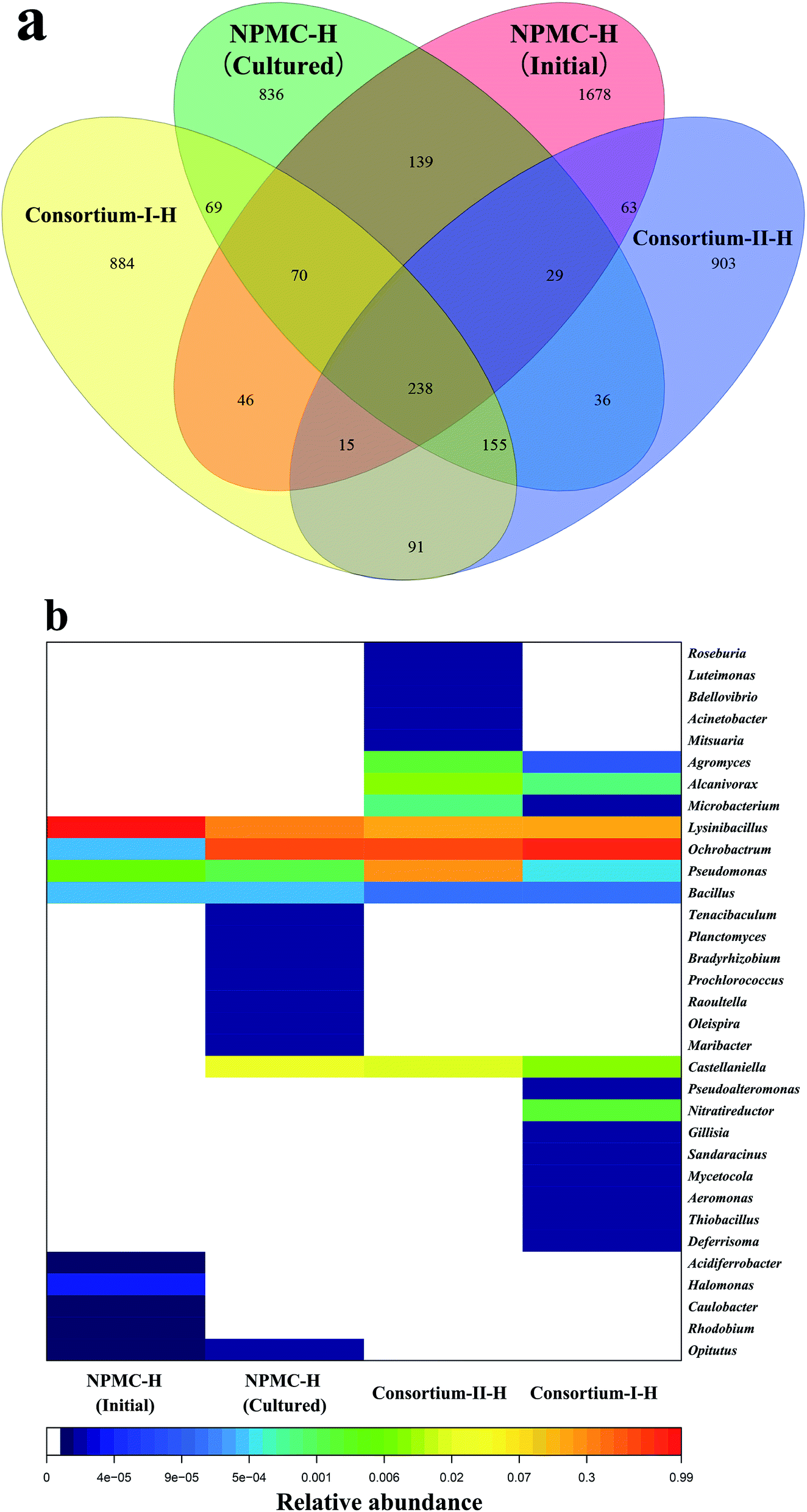 bacteria vs protists venn diagram great installation of wiring virus vs cell venn diagram