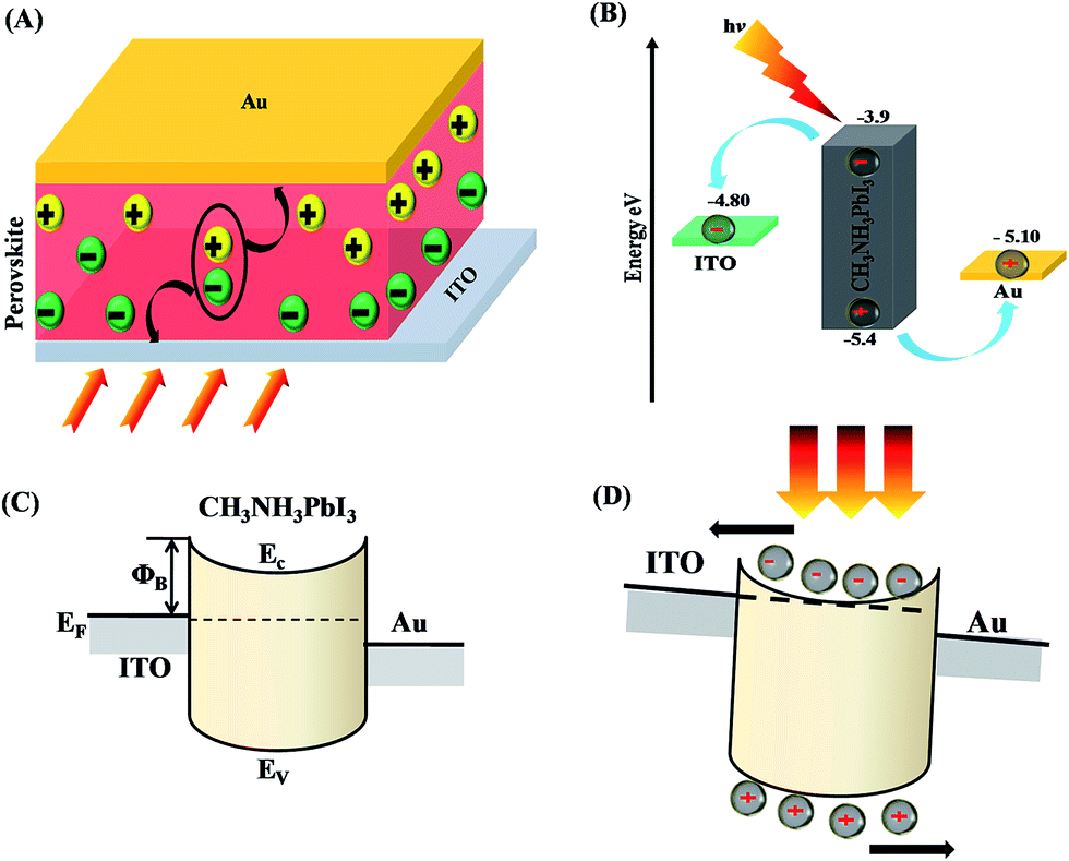 Highperformance selfpowered perovskite photodetector with a rapid