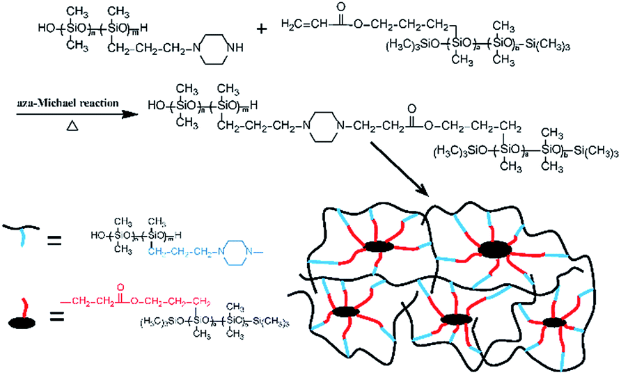 Preparation and characterization of silicone rubber cured via catalyst