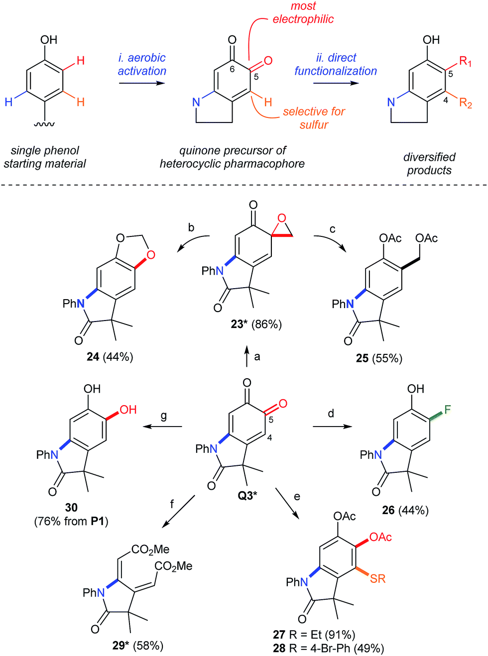 a bio-inspired synthesis of oxindoles by catalyti