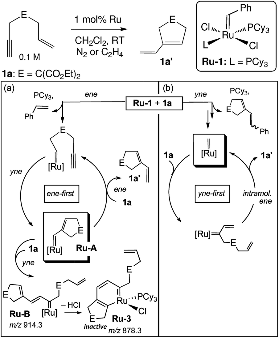 ene yne metathesis mechanism Issue in honor of prof siegfried blechert arkivoc 2011 (iv) 127-139 facile diels–alder dimerisation of a vinyloxepin synthesised using intramolecular ene–yne metathesis. ene yne metathesis mechanism Issue in honor of prof siegfried blechert arkivoc 2011 (iv) 127-139 facile diels–alder dimerisation of a vinyloxepin synthesised using intramolecular ene–yne metathesis.