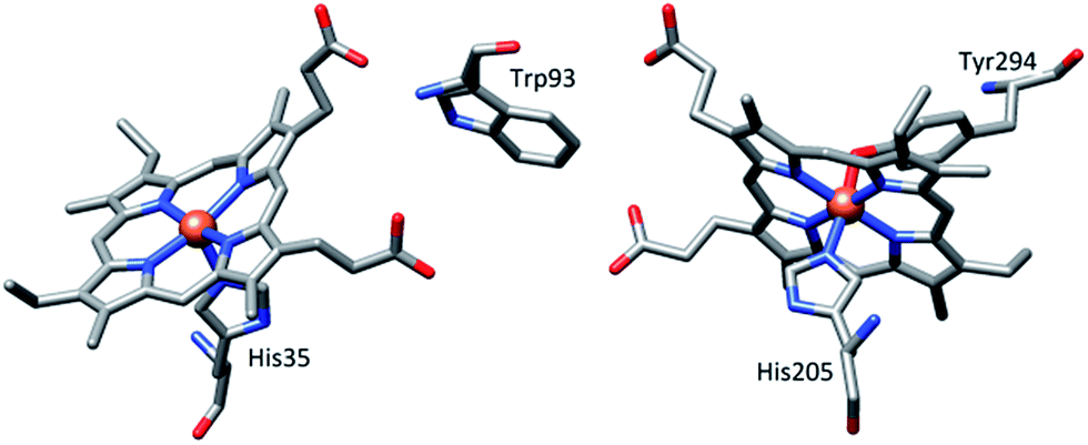 numerous diheme enzymes such as maug 7,8 and bacterial diheme