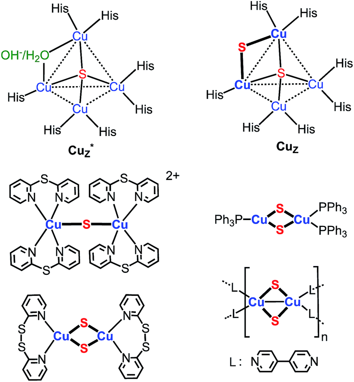 Synthesis, structure, and reactions of a coppersulfido cluster