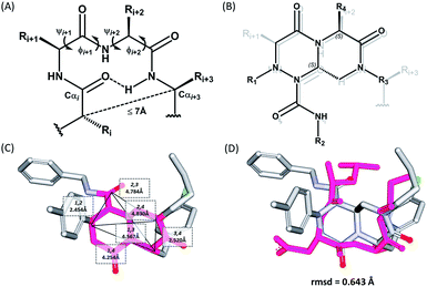 β-Turn mimetic-based stabilizers of protein–protein ... protei structure diagram 