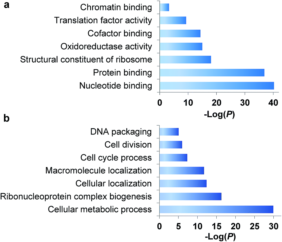 Systematic study of the dynamics and halflives of newly synthesized