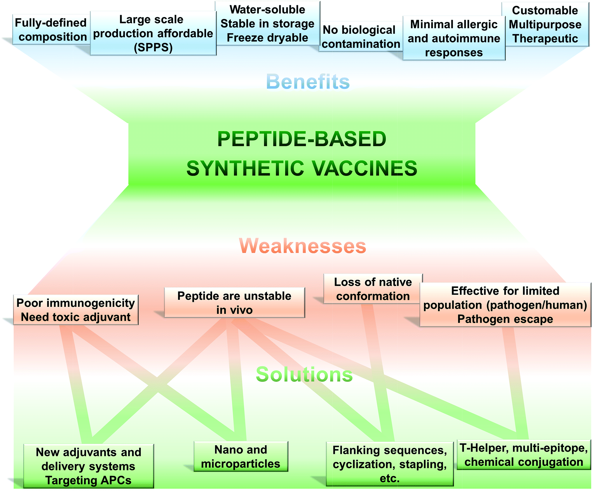 death receptors in cancer therapy cancer drug discovery and development