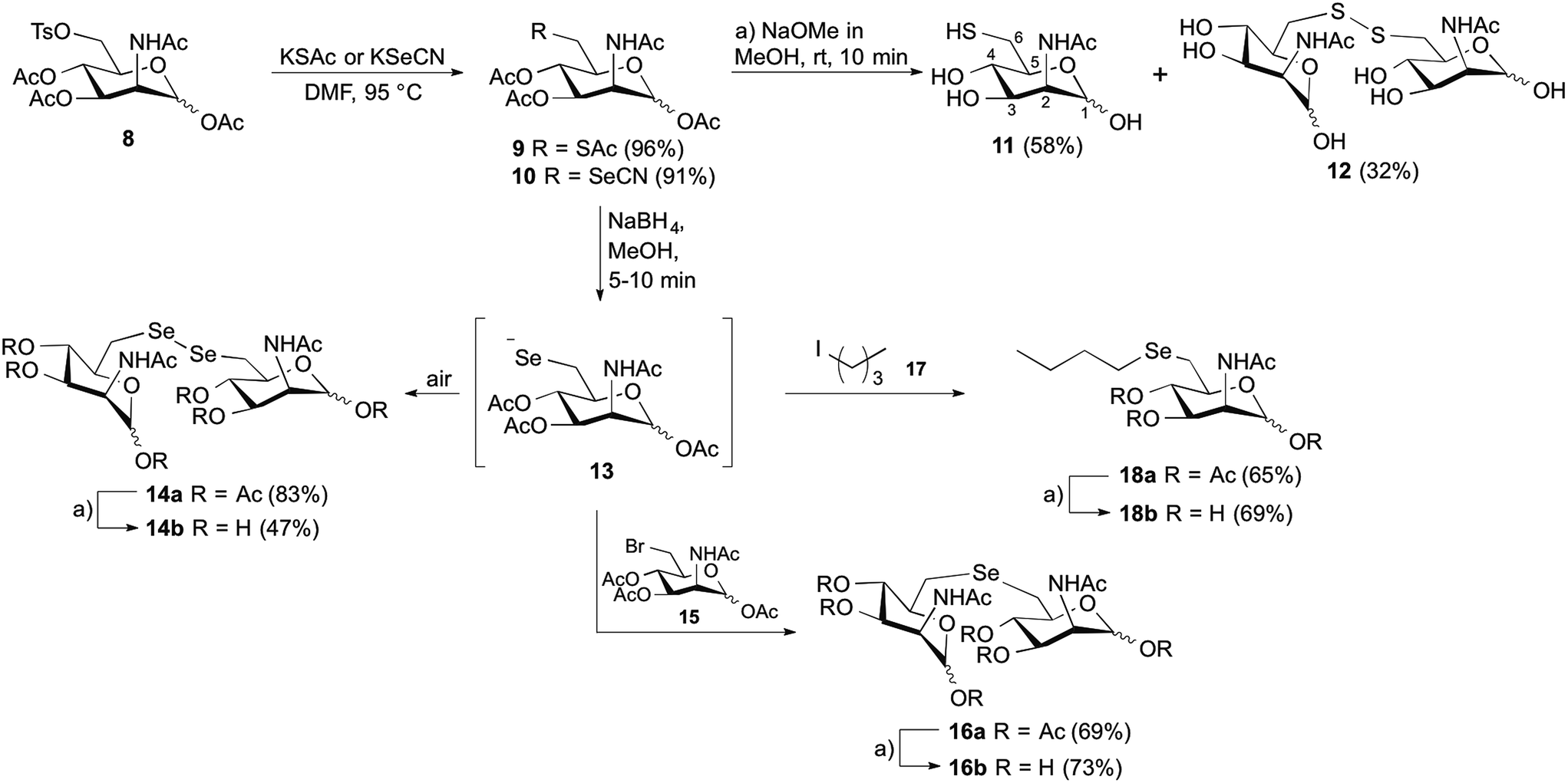 Inhibition of the key enzyme of sialic acid biosynthesis by C6-Se modified N -acetylmannosamine ...