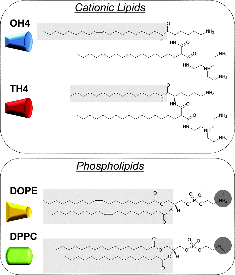 structures of malonic acid diamide/phospholipid composites and