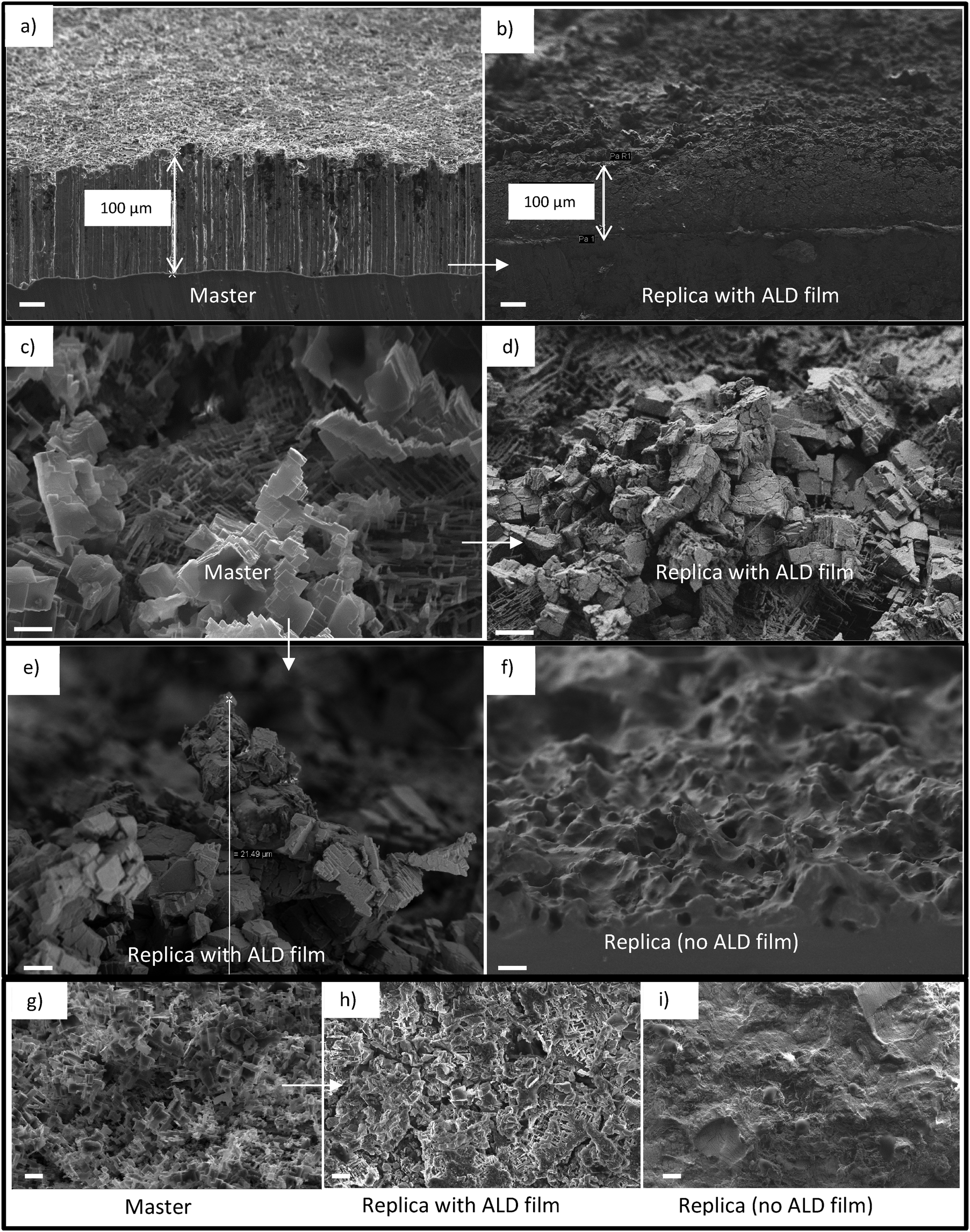 Robust hybrid elastomer/metal-oxide superhydrophobic ... Robust hybrid elastomer/metal-oxide superhydrophobic ...