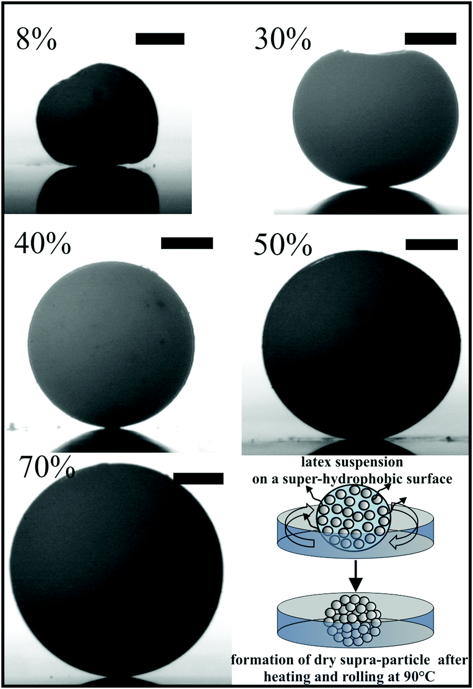 pdf the geometrical language of continuum