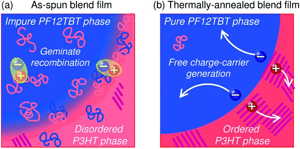 Thesis on polymer blends