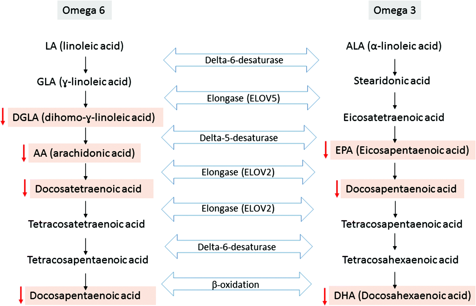 Convert Chemstation D Files Eu Convert Chemstation D Files Eu