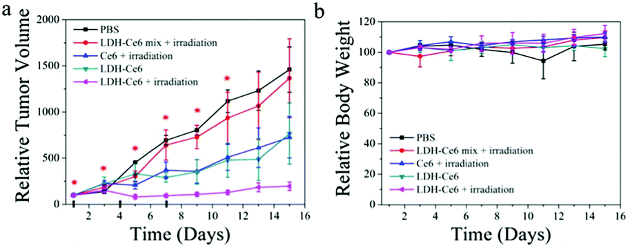 4 (a) tumor growth curves and (b) the body weight evolution of