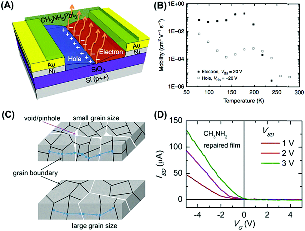Insights into charge carrier dynamics in organometal halide