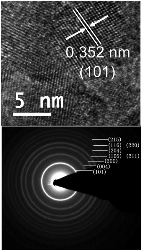 Ute cappel thesis 02 picture