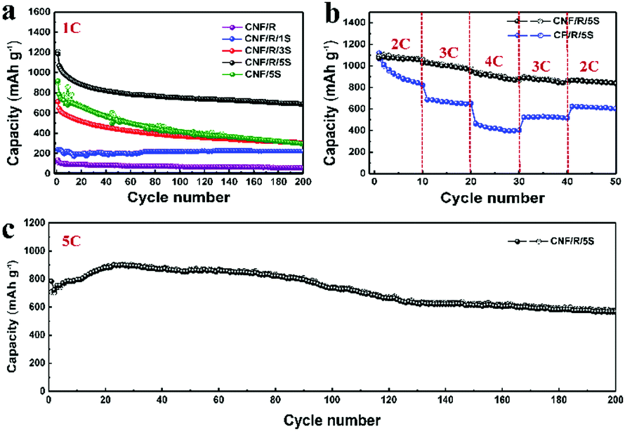 Latest COF-R02 Study Plan