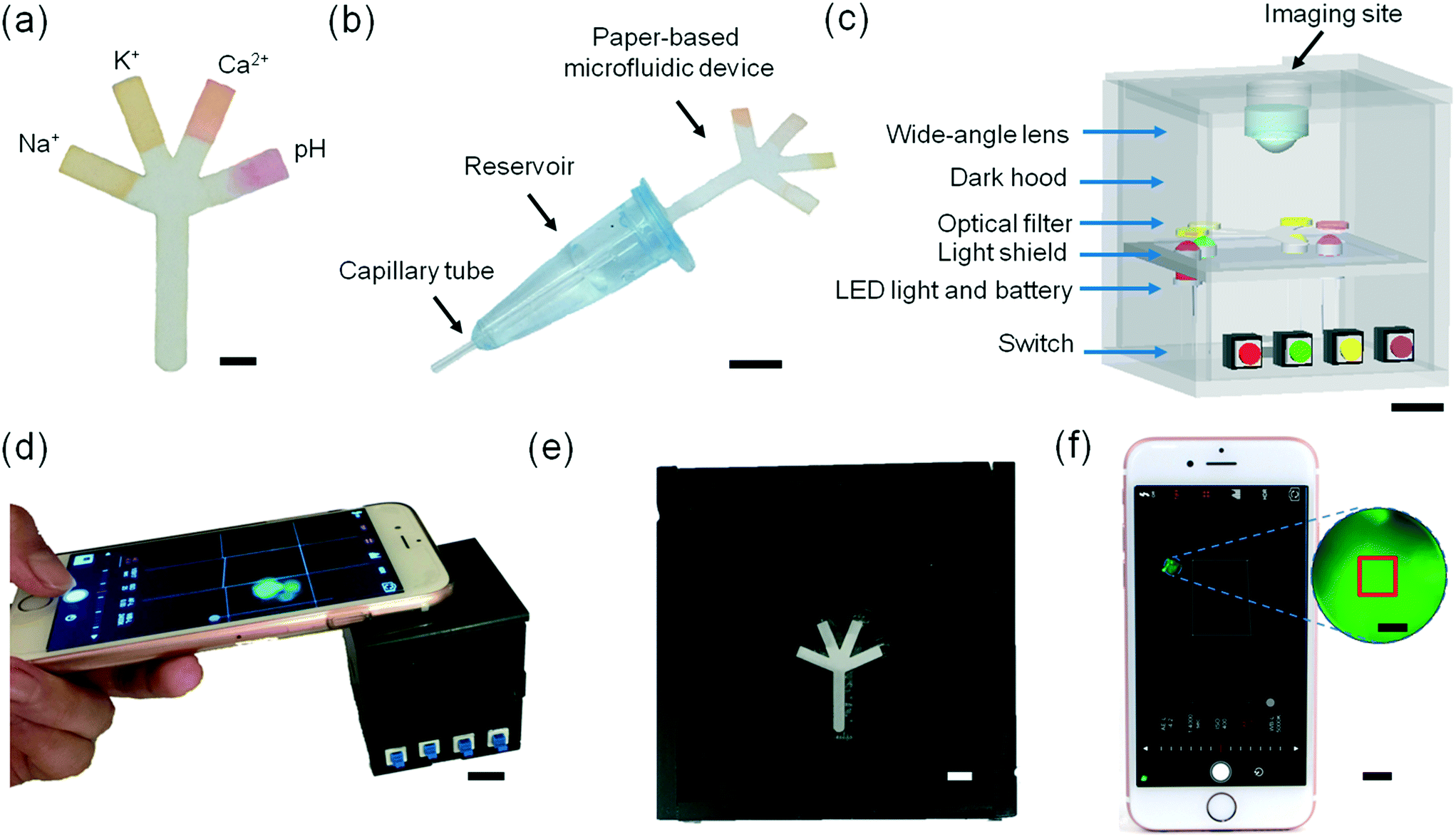 Paperbased microfluidic system for tear electrolyte analysis Lab on