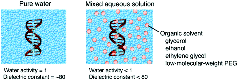 investigation the effect of the organic solvents essay Investigation of the effect of organic solvents in a previous papers 1 it was reported that in the of various organic solvents at various concentrations. investigation the effect of the organic solvents essay Investigation of the effect of organic solvents in a previous papers 1 it was reported that in the of various organic solvents at various concentrations.