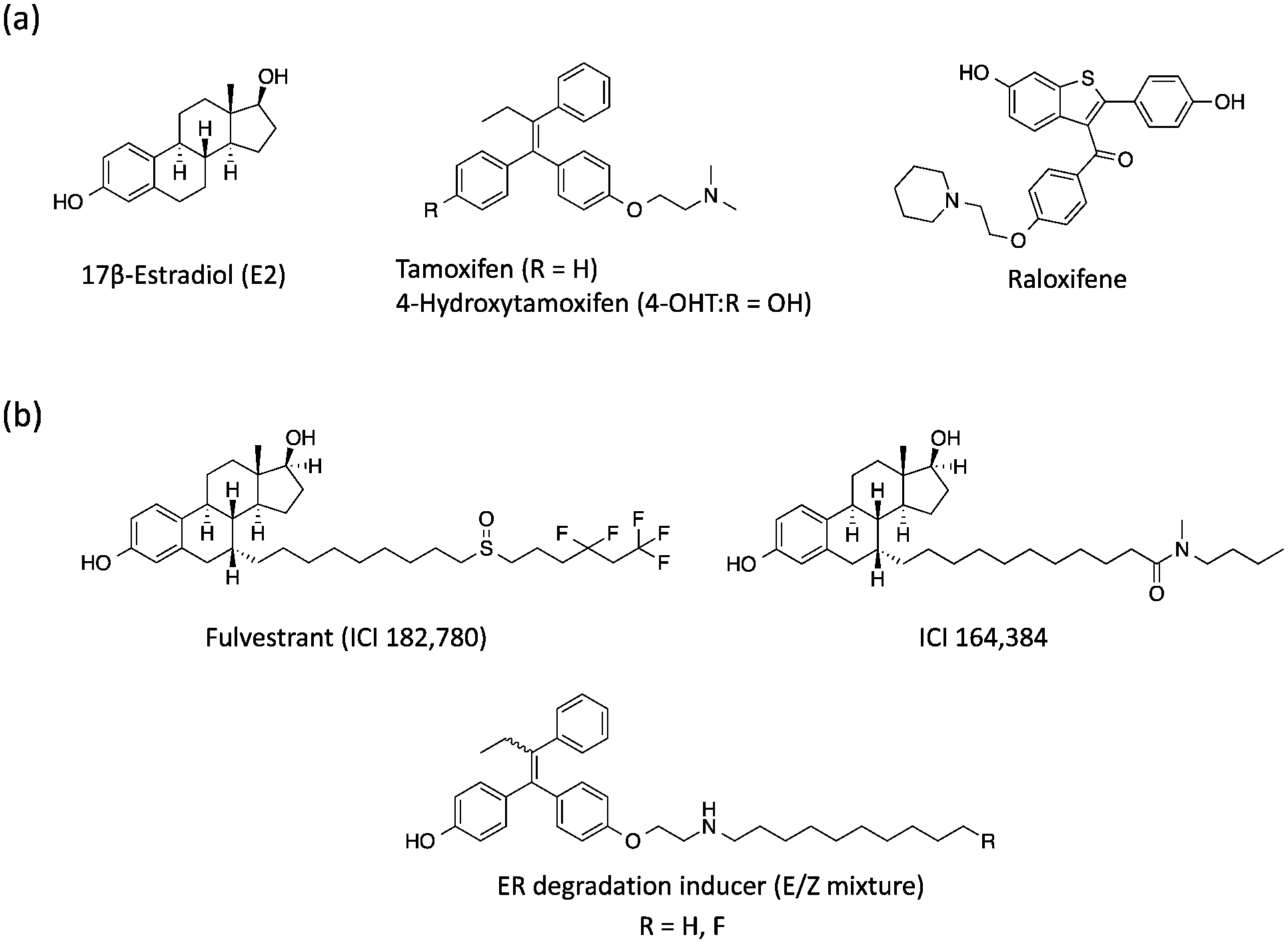 estrogen,flamtory,r_大山谷图库