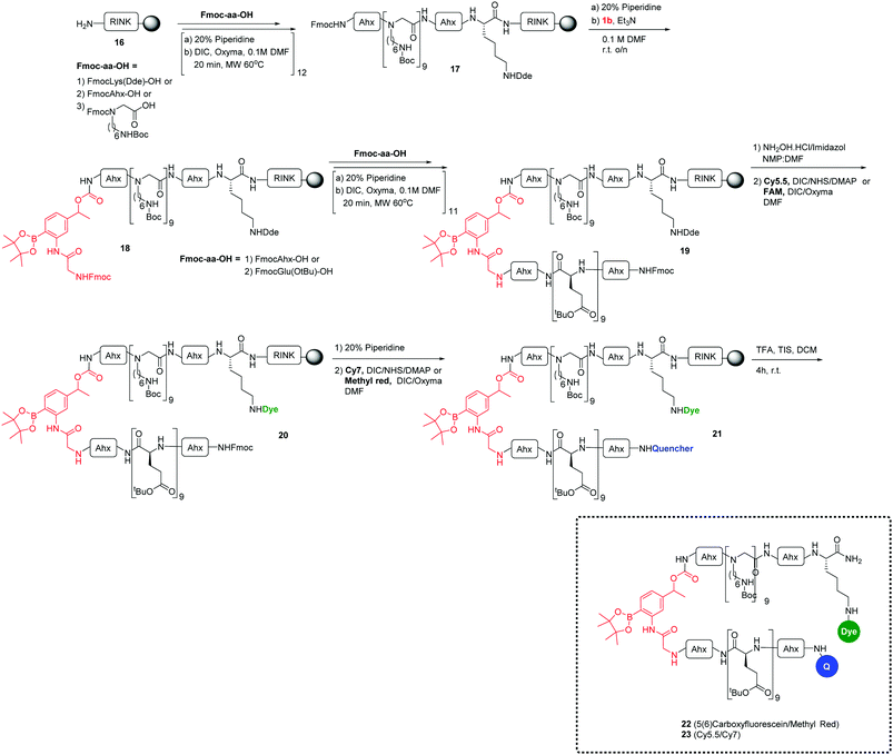 Synthesis and optimization of a reactive oxygen species ...
