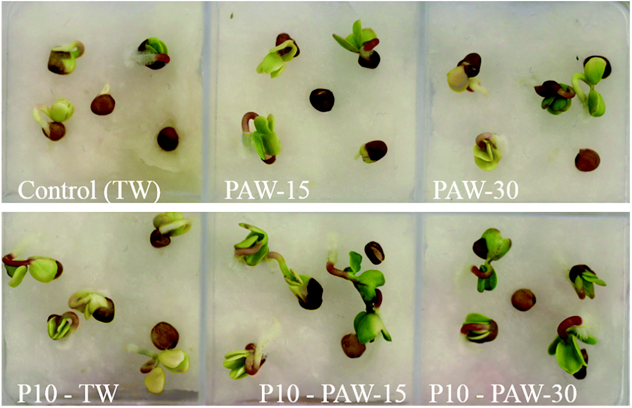 Enhanced seed germination and plant growth by atmospheric pressure cold air plasma combined