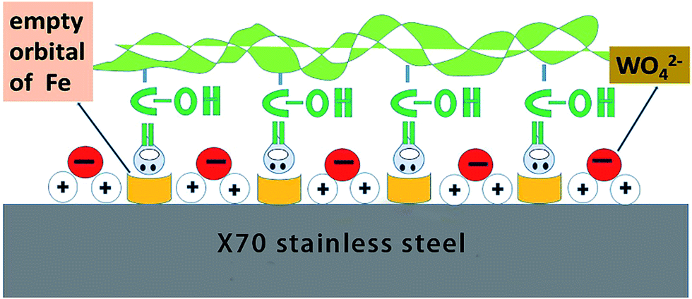 positive ions,positive because the electrode surface has extra positive charges in the