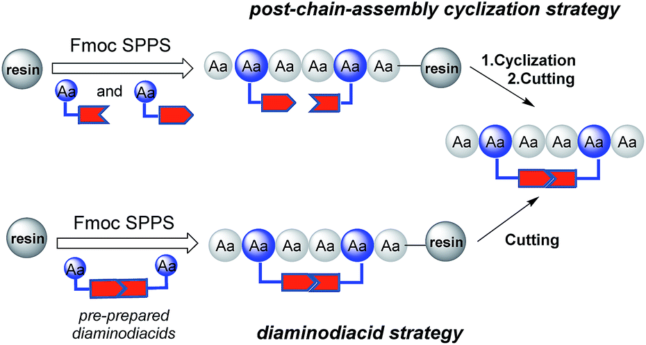 two strategies for making disulfide-bond surrogates.