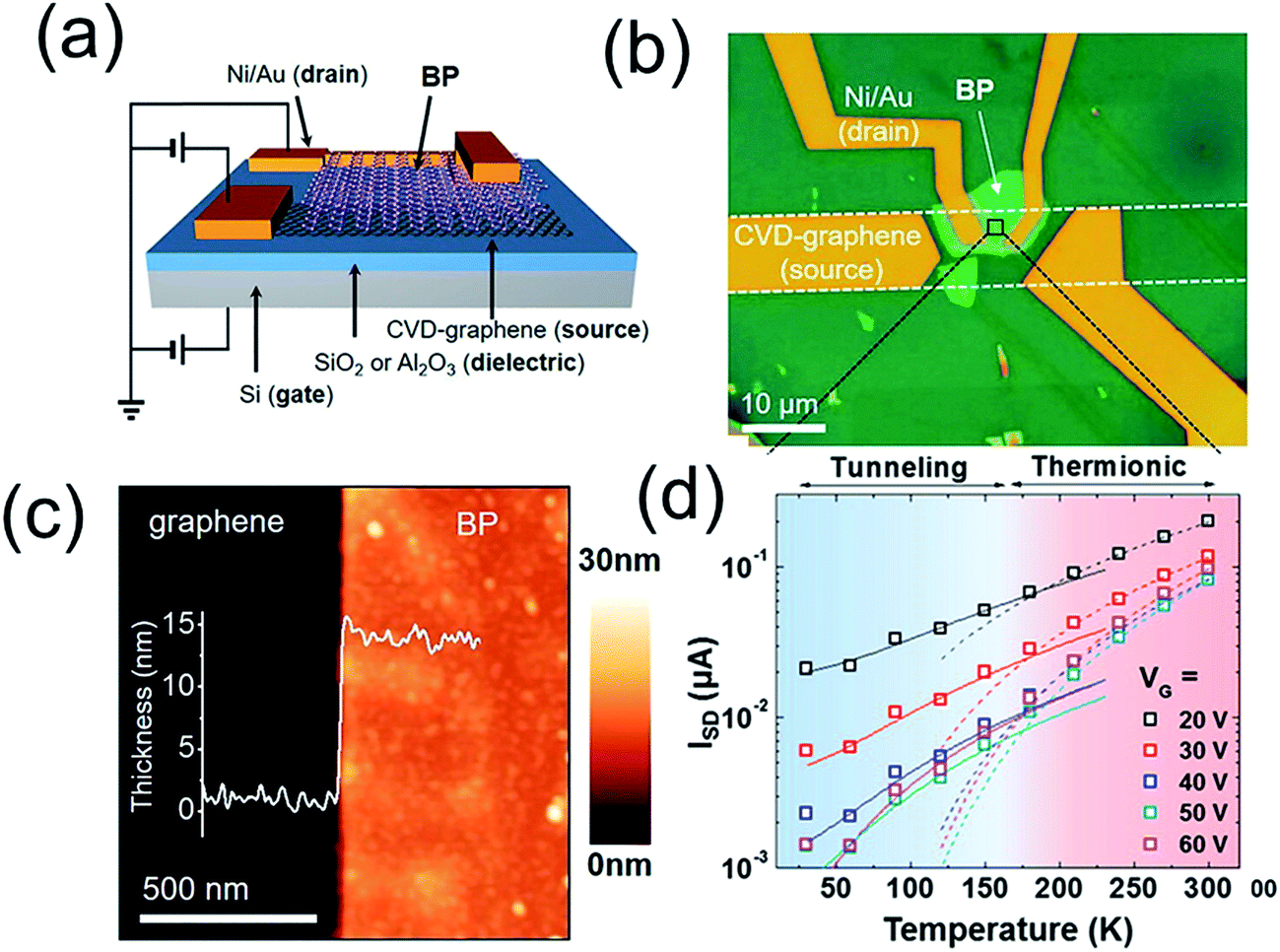 Thin film transistors based on two dimensional graphene and graphene