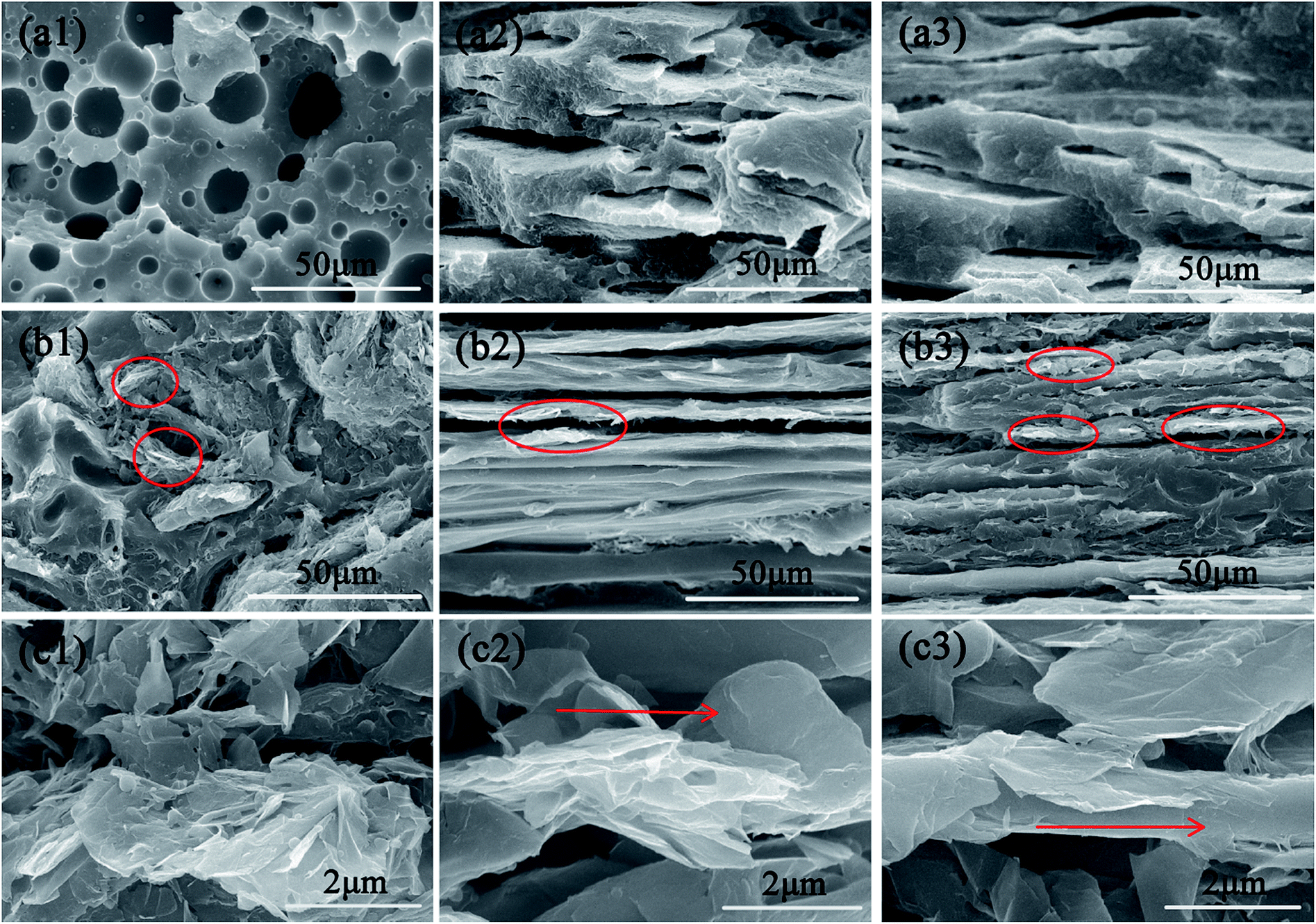 the pmma phase was etched by immersing samples in n,n