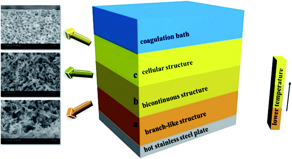 diagram of phase separation for sandwich-like structure