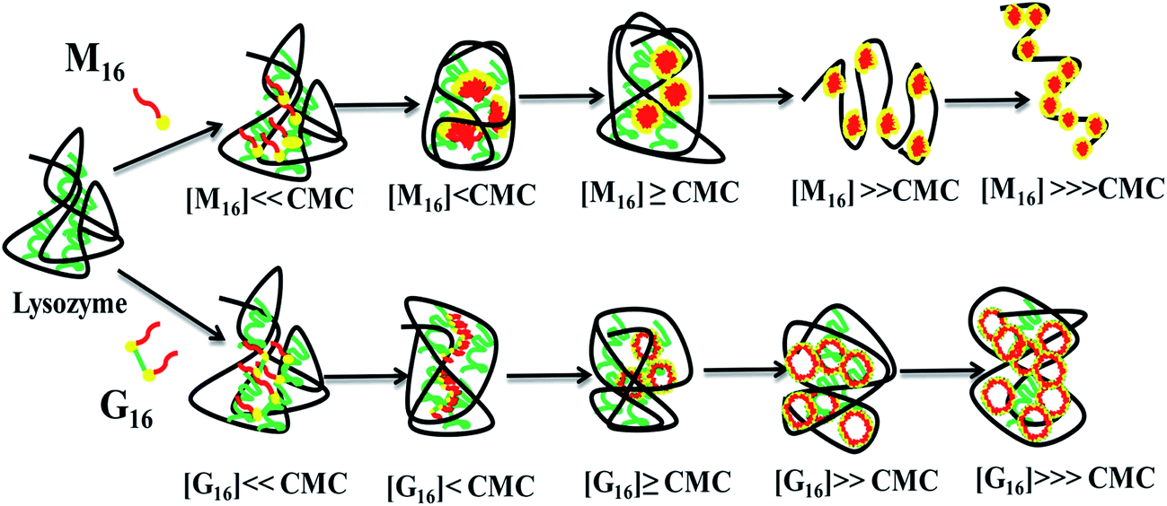 comparative effect of cationic gemini surfactant