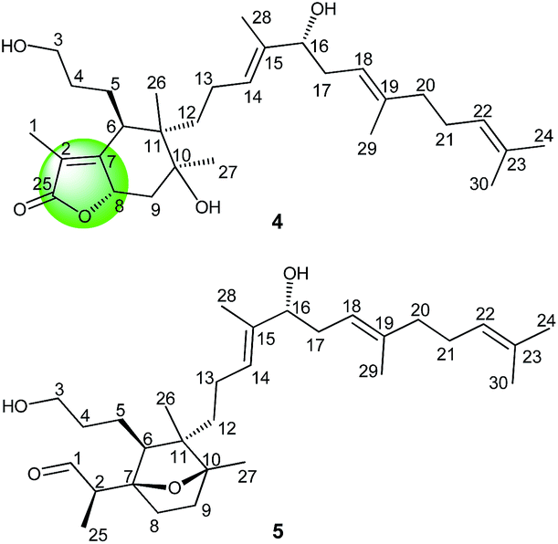 Which Bicyclic Compound Are Unstable At Room Temperature Which Bicyclic Compound Are Unstable At Room Temperature