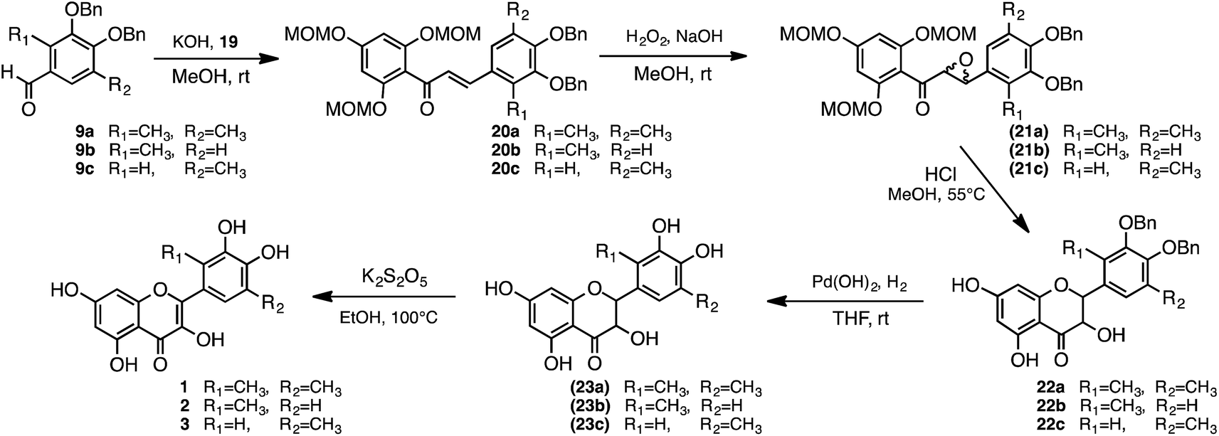 synthesis of methylated quercetin analogues for enhancement of