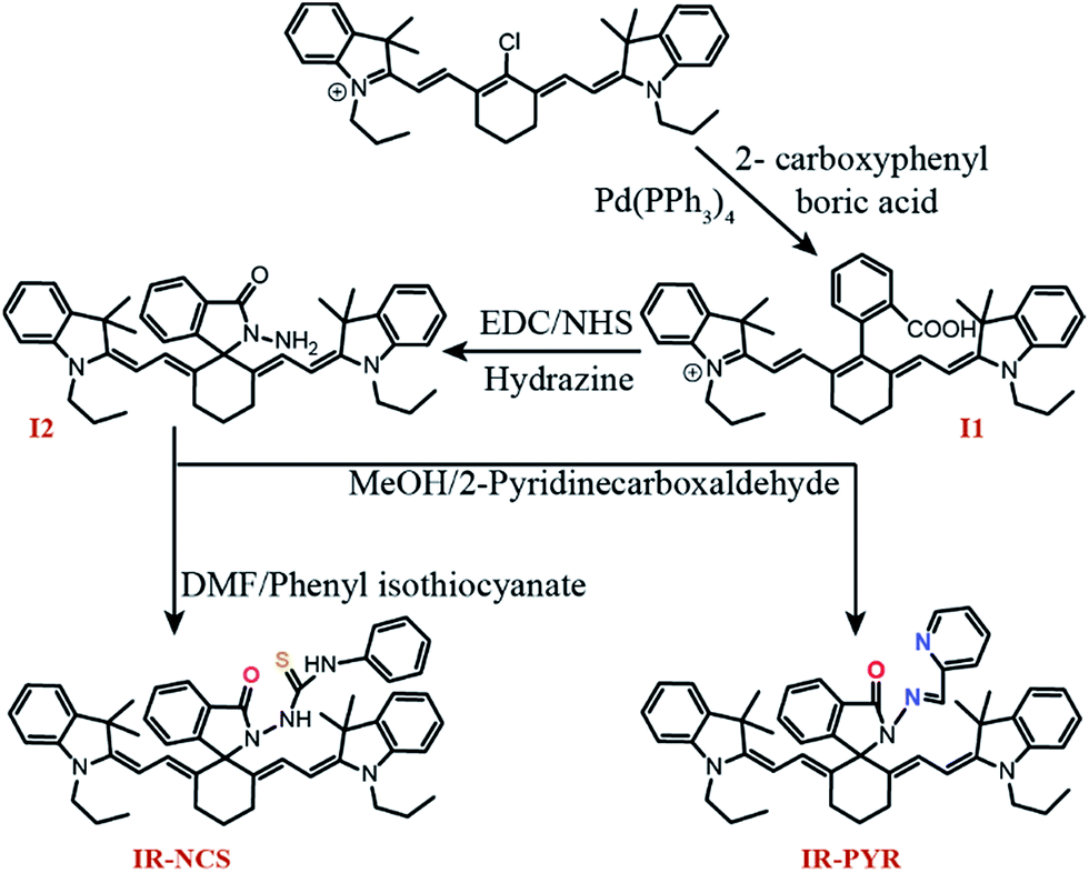 spirolactam capped cyanine dyes for designing nir probes to