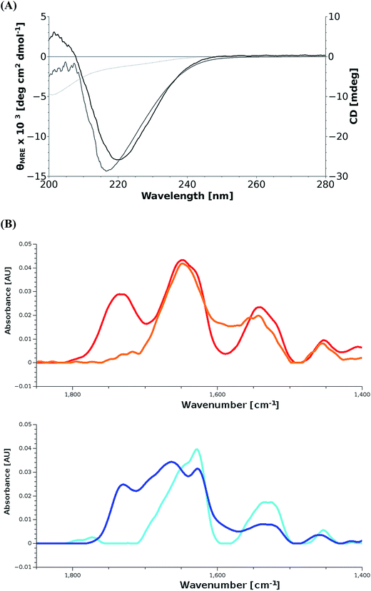 biotechnological production of the mussel byssus